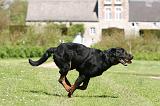 BEAUCERON 857